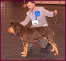 Jubilant BoB LKA 2010