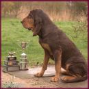 ID cup & 1st in Novice BC trials Spring 2011