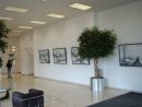 Managed changing exhibition series for reception of Wembley Point in West London.