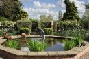 Pond