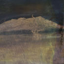 "Out" 2010