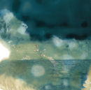 'out' 2010