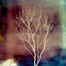 'out' 2010