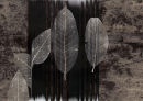 'after'    2008 - 2009