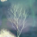 'out' 2010