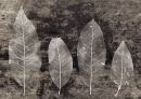   ' before '      2008 - 2009