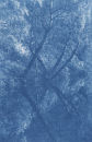 Landscape in Blue  2010