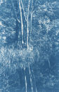 Landscape in Blue  2010