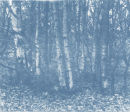 Landscape in Blue  2010