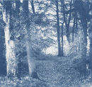 Landscape in Blue  2010