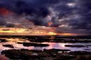 Coquet island from Amble
