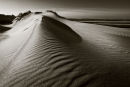 'Dune' Budle bay