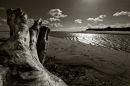Alnmouth, Northumberland