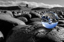 Another world