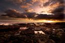 Coquet from Amble