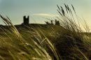 Dunstanburgh castle