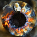 Eye of the fire....Heather Management...NY Moors