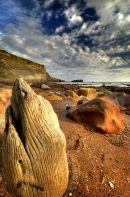 Saltwick Bay post,Whitby