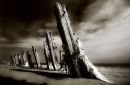 Spurn Posts'The mermaid'