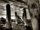 Tunnel of posts