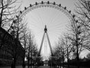 London Eye