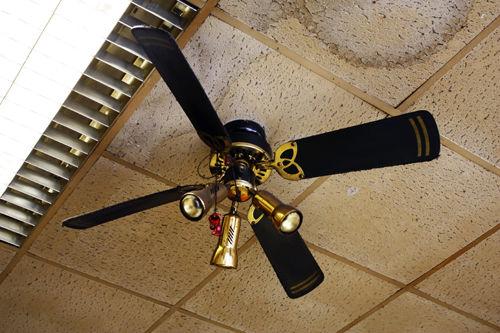Fan (2009)