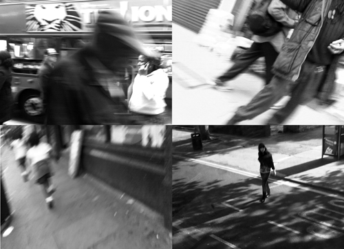Blackberry Observations (2009)