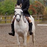 Susanna Bordone & Ava