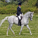 Huntsman