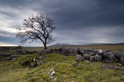 Yorkshire Dales
