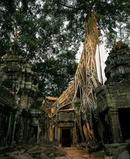 Angkor Cambodia