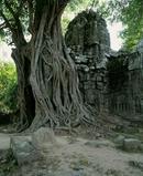 Angkor Cambodia