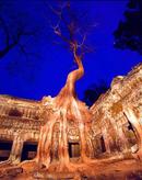 Angkor Cambodia