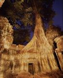 Angkor Cambodia
