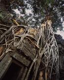 Angkor Cambodia