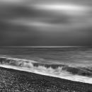 Dungeness Study