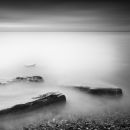 Hastings Study