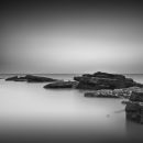 Hastings study