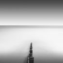 West Wittering Study