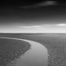 West Wittering study
