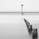 West Wittering study