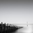 West Wittering study
