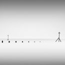 West Wittering Study