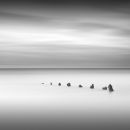 Winchelsea Study