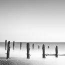 Pett Level Study