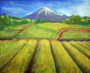 Tea fields to Mt Fuji