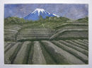 Tea Fields to Fuji - zinc