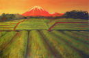 Tea fields to Fuji II (sunset)