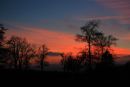 Gatley Woods