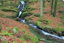 Nant Gwyllt